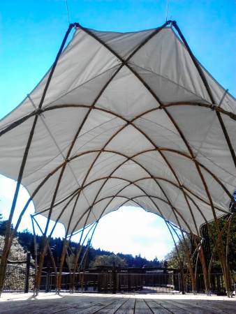 Bamboo tents - Galleries on terrace