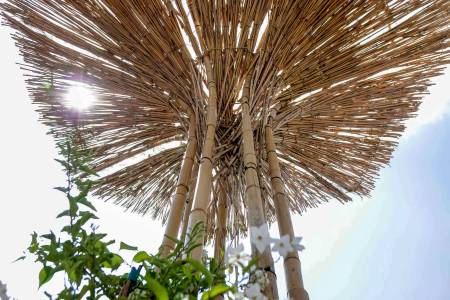 Bamboo tents - Shadow trees 29