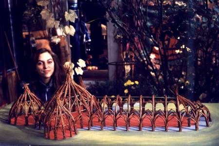 Willow Construction - Willow Dome, model