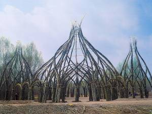 Willow Dome
