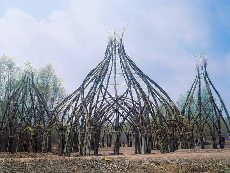 Willow Construction- Willow Dome - under construction 1